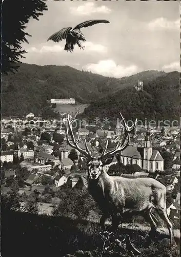 AK / Ansichtskarte Waldkirch Breisgau Blick vom Wildgehege mit Falkenhof Falke Hirsch Kat. Waldkirch