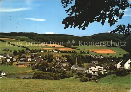 AK / Ansichtskarte Wiemeringhausen Panorama Kat. Olsberg