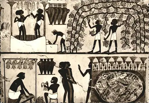 AK / Ansichtskarte Thebes Aegypten Tomb of Nakht Winepressing Scene Kat. Aegypten