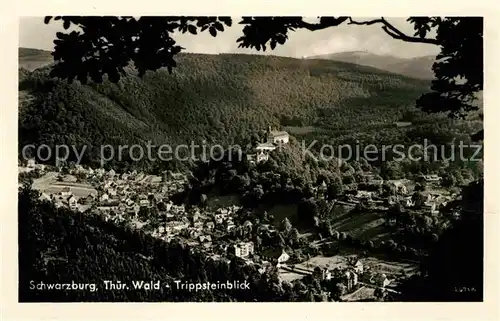 AK / Ansichtskarte Schwarzburg Thueringer Wald Panorama Trippsteinblick Kat. Schwarzburg