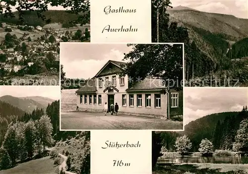 AK / Ansichtskarte Stuetzerbach Gasthaus Auerhahn Waldpartie Landschaftspanorama Kat. Stuetzerbach