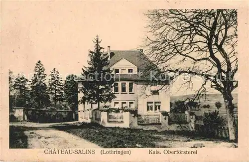 AK / Ansichtskarte Chateau Salins Kais Oberfoersterei Kat. Chateau Salins