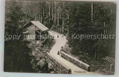 AK / Ansichtskarte Freudenstadt Waldpartie Hoehenluftkurort im Schwarzwald Kat. Freudenstadt