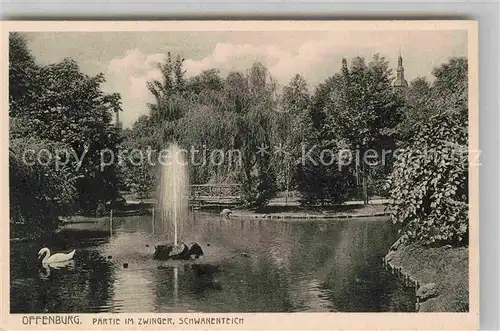 AK / Ansichtskarte Offenburg Partie im Zwinger Park Schwanenteich Kat. Offenburg