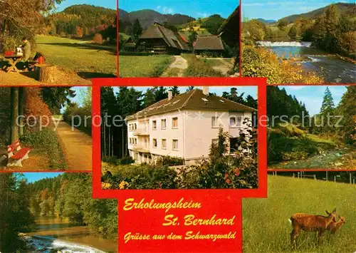 AK / Ansichtskarte Marxzell Erholungsheim Sankt Bernhard Hirschgehege Kat. Marxzell
