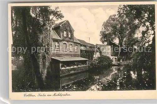 AK / Ansichtskarte Cottbus Partie Muehlgraben Kat. Cottbus