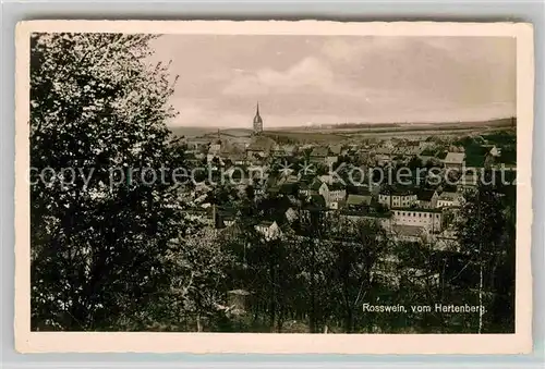 AK / Ansichtskarte Rosswein Panorama Hartenberg Kirche Kat. Rosswein