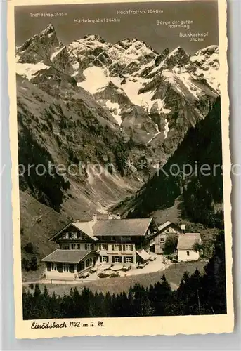 AK / Ansichtskarte Einoedsbach Alpengasthof und Fremdenheim Trettachspitze Maedelegabel Kat. Oberstdorf