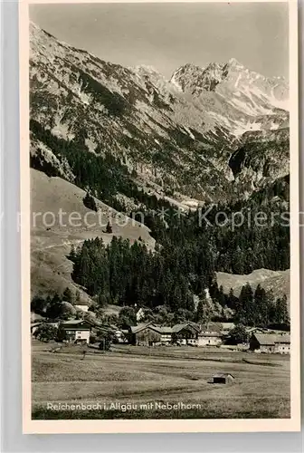 AK / Ansichtskarte Reichenbach Oberstdorf mit Nebelhorn Kat. Oberstdorf