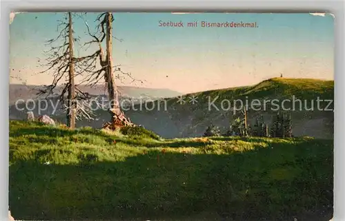 AK / Ansichtskarte Feldberg Schwarzwald Seebuck mit Bismarckdenkmal Kat. Feldberg (Schwarzwald)