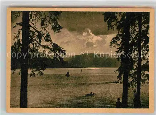 AK / Ansichtskarte Schluchsee Panorama  Kat. Schluchsee