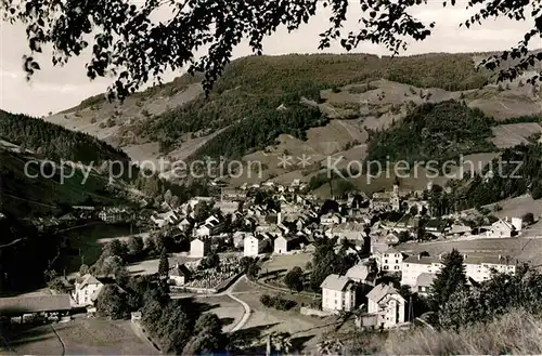 AK / Ansichtskarte Todtnau Panorama Kat. Todtnau