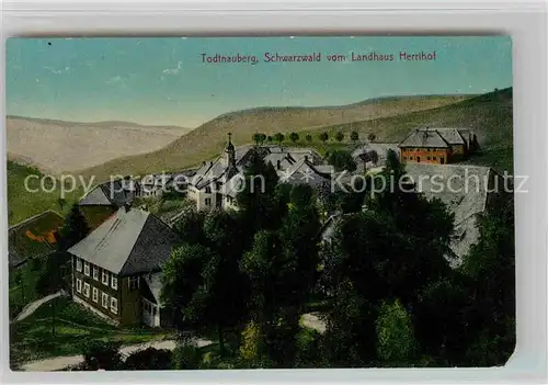 AK / Ansichtskarte Todtnauberg Blick vom Landhaus Herrihof Kat. Todtnau