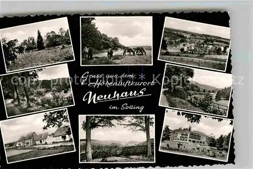 AK / Ansichtskarte Neuhaus Solling Trakehner Panorama Kat. Holzminden