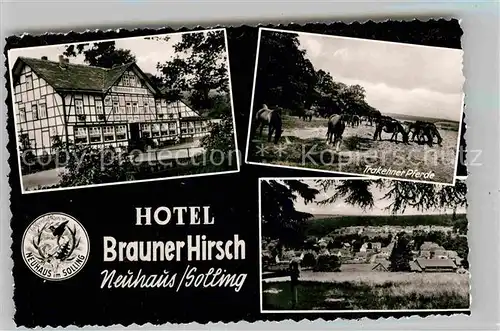 AK / Ansichtskarte Neuhaus Solling Hotel Brauner Hirsch Trakehner Fachwerk Kat. Holzminden
