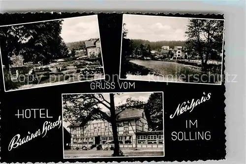 AK / Ansichtskarte Neuhaus Solling Hotel Brauner Hirsch Kat. Holzminden