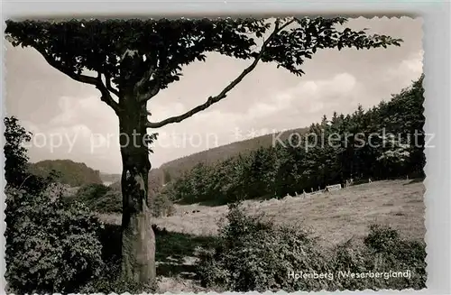 AK / Ansichtskarte Holenberg Panorama Kat. Holenberg