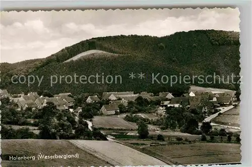 AK / Ansichtskarte Holenberg Panorama Kat. Holenberg