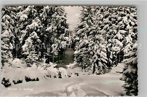 AK / Ansichtskarte Solling Bodenfelde Winter Wald Kat. Bodenfelde