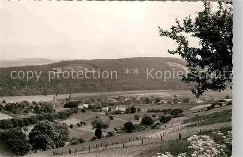 AK / Ansichtskarte Heinsen Weser Panorama Kat. Heinsen