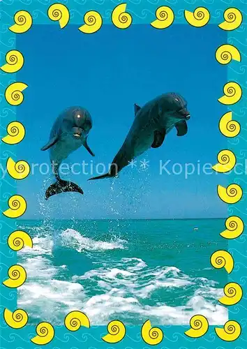 AK / Ansichtskarte Delphine  Kat. Tiere