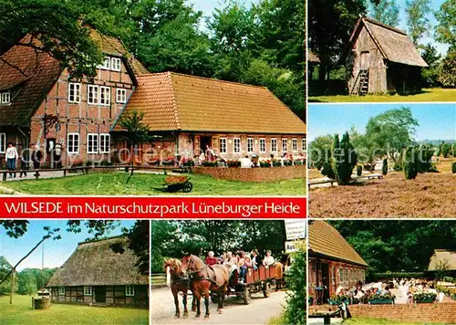AK / Ansichtskarte Wilsede Lueneburger Heide Gaststaette Restaurant Pferdewagen Bauernhof Naturschutzpark Kat. Bispingen