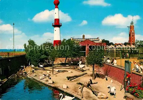 AK / Ansichtskarte Bremerhaven Tiergrotten und alter Leuchtturm Kat. Bremerhaven