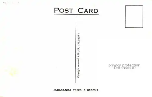 AK / Ansichtskarte Harare Jacaranda Trees Rhodesia Kat. Harare