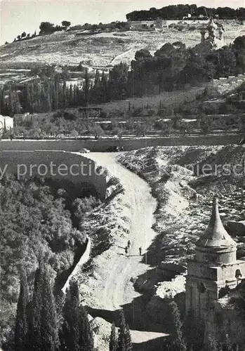 AK / Ansichtskarte Jerusalem Yerushalayim Mont des Oliviers et la Vallee de Josaphat Kat. Israel