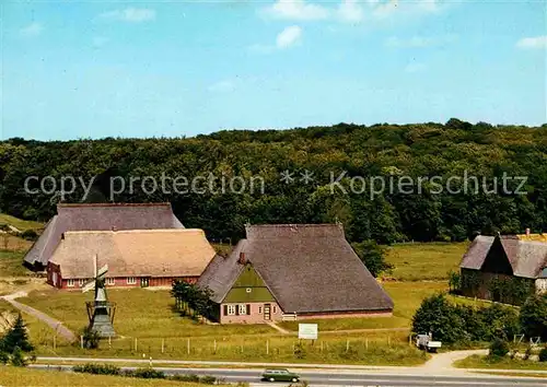 AK / Ansichtskarte Molfsee Freilichtmuseum Haeuser aus den holsteinischen Marschen Windmuehle Kat. Molfsee