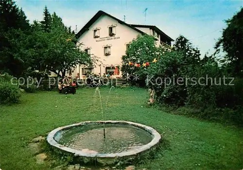 AK / Ansichtskarte Dreieck Regen Waldgasthof Pension Dreieck Kat. Regen