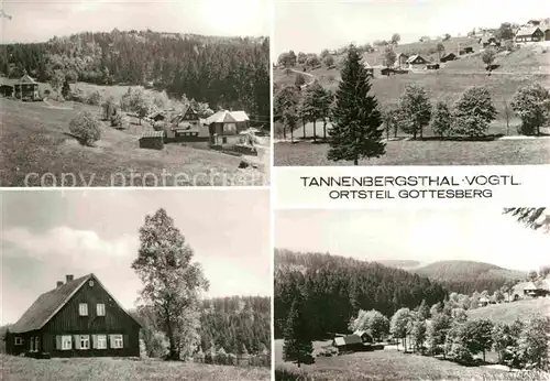 AK / Ansichtskarte Gottesberg Tannenbergsthal Teilansichten Landschaftspanorama Kat. Tannenbergsthal Vogtland