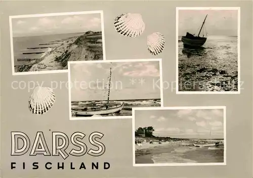 AK / Ansichtskarte Darss Region Ostsee Fischland Strand Kueste Fischerboot Muscheln Kat. Wieck Darss