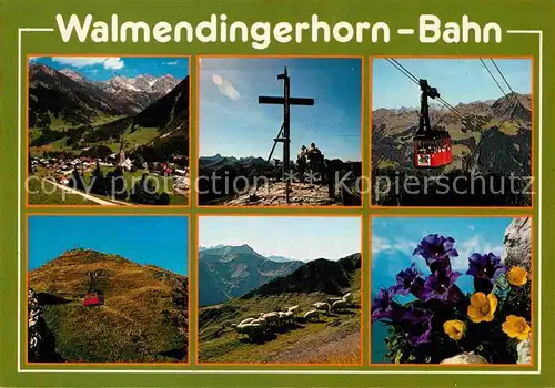 AK / Ansichtskarte Seilbahn Walmendingerhorn Gipfelkreuz Enzian Schafe Kat. Bahnen