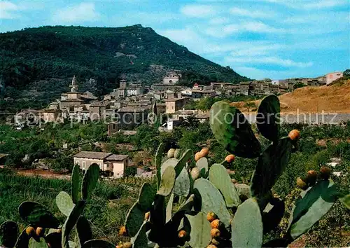 AK / Ansichtskarte Valldemosa Panorama Kat. Valldemosa Mallorca