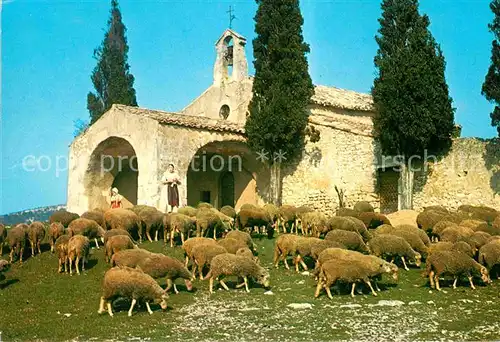 AK / Ansichtskarte Eygalieres Moutons devant la Chapelle St Sixte Kat. Eygalieres