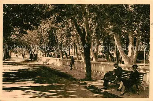 AK / Ansichtskarte Perpignan Allee des Marronniers Kat. Perpignan