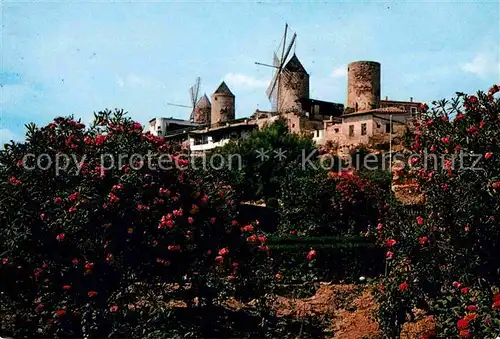 AK / Ansichtskarte Palma de Mallorca Molinos del Jonquet Kat. Palma de Mallorca