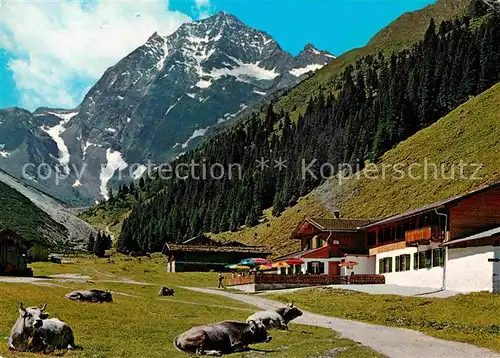 AK / Ansichtskarte Pinnistal Pinnisalm Kat. Neustift im Stubaital