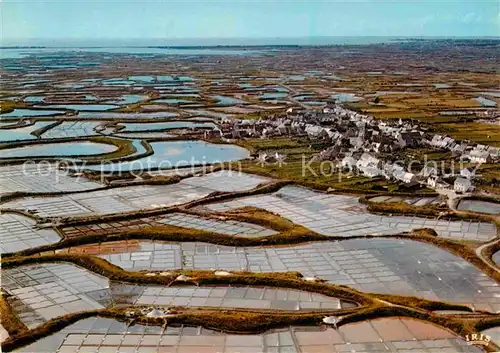 AK / Ansichtskarte Marais Fliegeraufnahme La Grande Cote Salants Kat. 