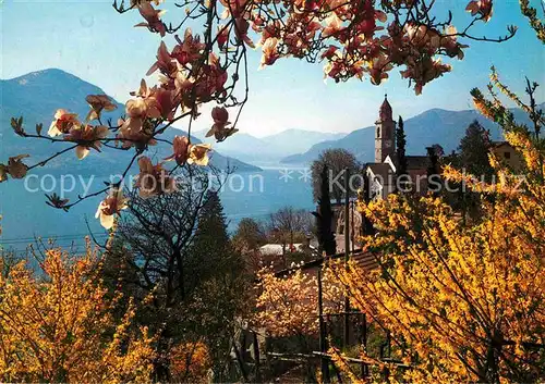 AK / Ansichtskarte Ronco sopra Ascona Kirchenpartie und Lago Maggiore