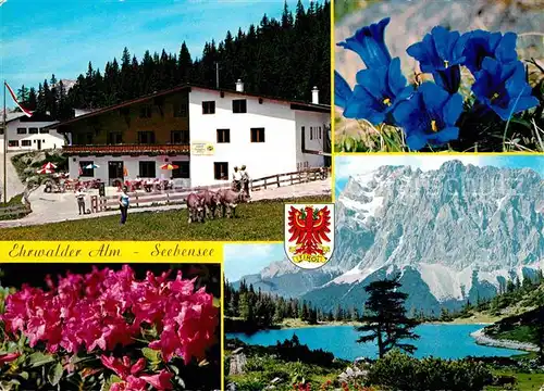 AK / Ansichtskarte Ehrwald Tirol Alm Seebensee Enzian