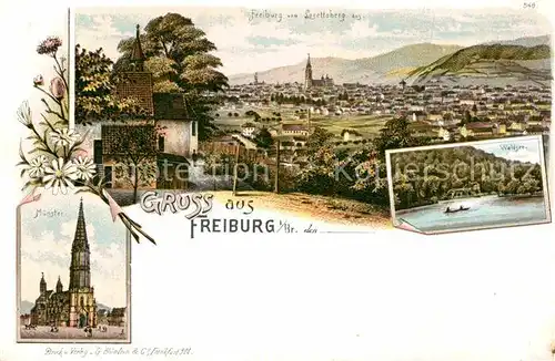 AK / Ansichtskarte Freiburg Breisgau Blick vom Lorettoberg Muenster Waldsee Kat. Freiburg im Breisgau