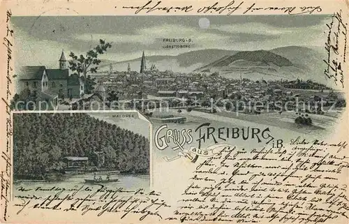 AK / Ansichtskarte Freiburg Breisgau Blick vom Lorettoberg Waldsee Kat. Freiburg im Breisgau