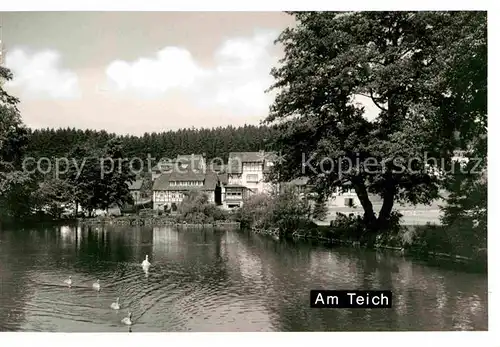 AK / Ansichtskarte Neuhaus Solling Am Teich Kat. Holzminden