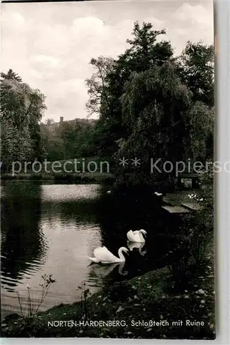 AK / Ansichtskarte Noerten Hardenberg Schlossteich Ruine Schwaene Kat. Noerten Hardenberg