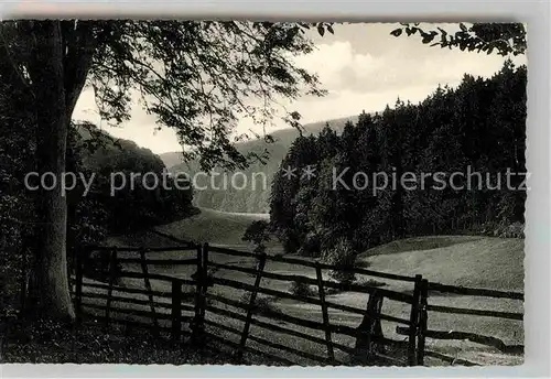 AK / Ansichtskarte Holzminden Weser Holzmindetal Kat. Holzminden