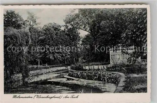 AK / Ansichtskarte Holzminden Weser Teich Kat. Holzminden