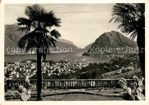 AK / Ansichtskarte Lugano TI Panorama Lago Monte San Salvatore Luganersee Palmen Kat. Lugano