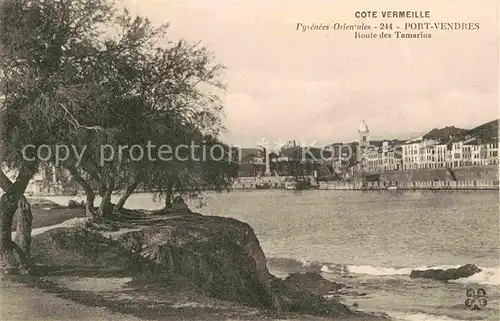 AK / Ansichtskarte Port Vendres Cote Vermeille Route des Tamarins Kat. Port Vendres